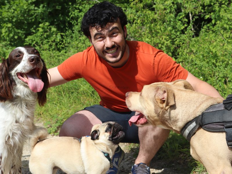 Éducateur canin en balade éducative avec un molosse de type Pitbull, un épagneul et un carlin, tous souriants et détendus en pleine nature – spécialiste en éducation positive et socialisation canine, notamment pour chiens catégorisés.