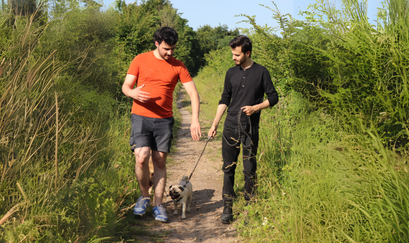 Séance d'éducation canine en promenade avec un éducateur canin spécialisé et un client, apprenant la marche en laisse avec un carlin – méthode positive en pleine nature pour renforcer la relation humain-chien.